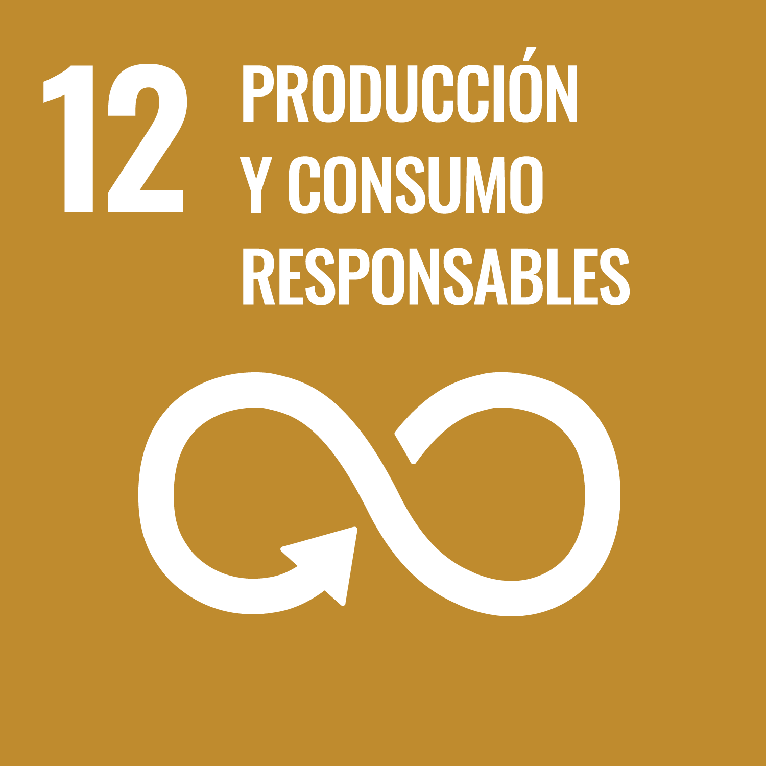 ODS 12: Garantizar modalidades de consumo y producción sostenibles